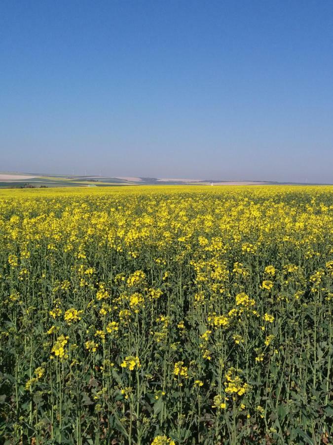 Ferme Du Mont Moret Apartament Courdemanges Zewnętrze zdjęcie